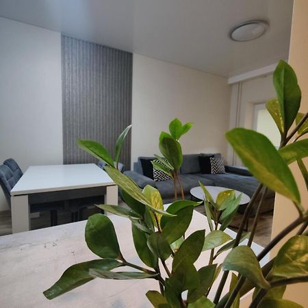 V15 Apartment Druskininkai Exteriör bild